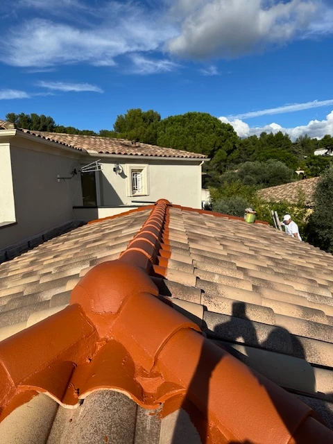 rénovation étanchéité faîtage toiture 4